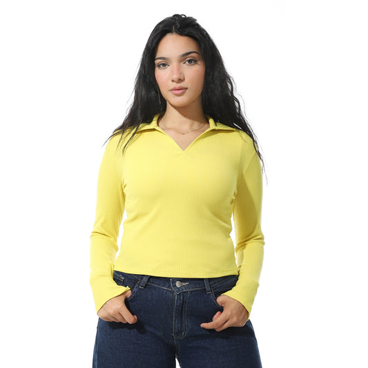 basic-2596